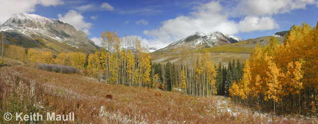 Aspen Peaks