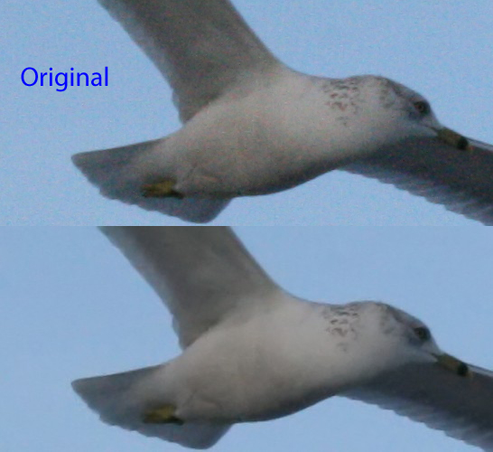 Noisy Image Example @ ISO 1600 Side-By-Side