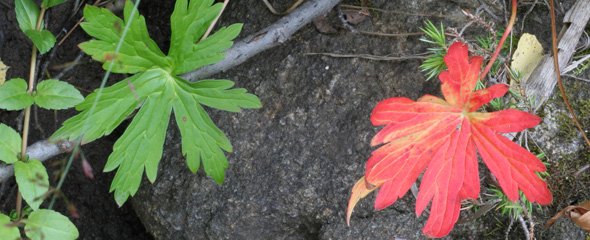 TKSeminars Fall Course Offerings : Come Join The Fun!